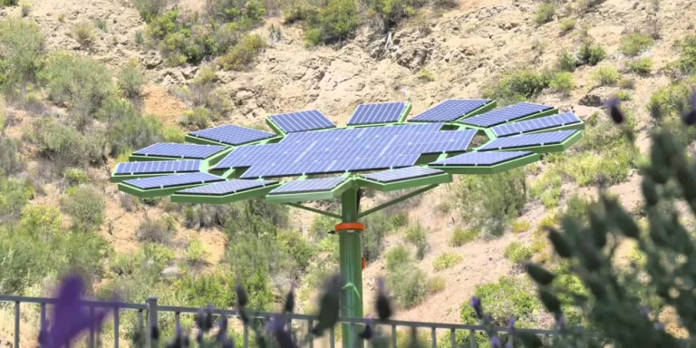 James Cameron Solar Sunflower Powur