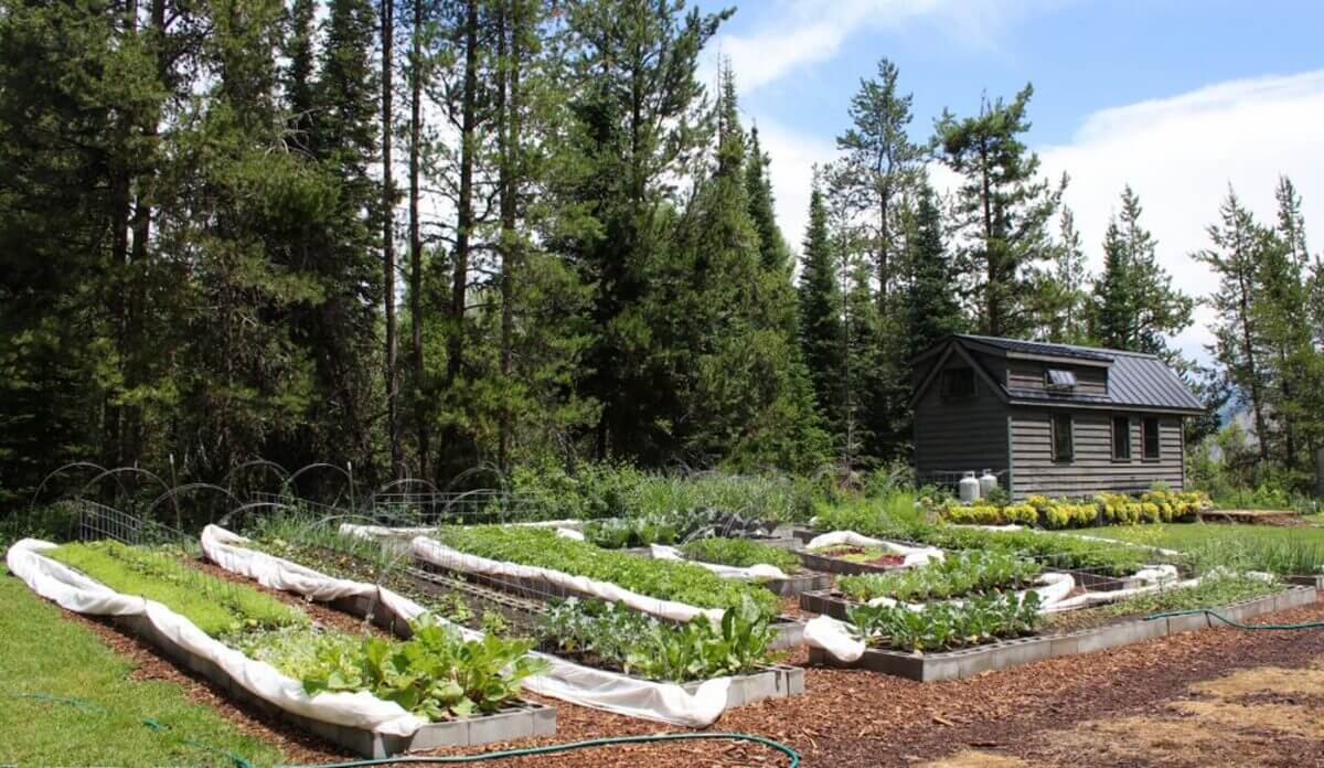 Buy Agricultural Land