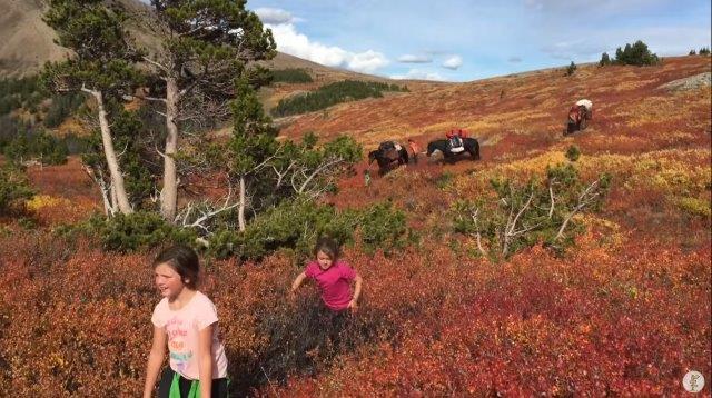 off grid horses