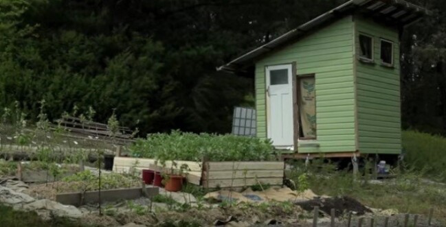 This Couple Built a Tiny House for Only $400! 