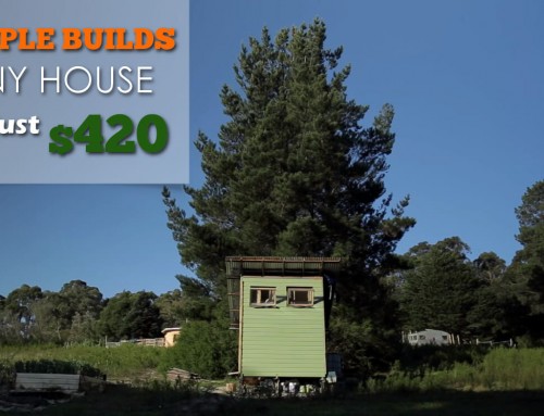 Couple Builds Tiny House For Just 420 Dollars