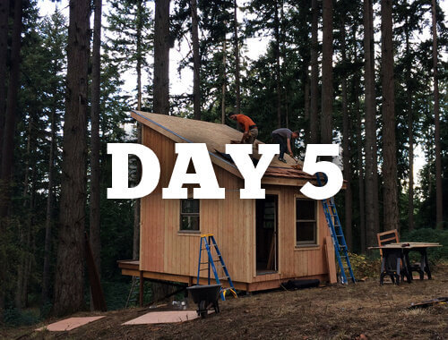 The Six Day Cabin Build Day 5