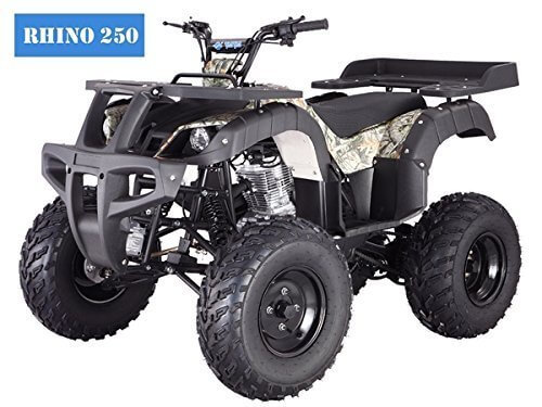 BRAND New Adult Size 250 Adult Size ATV with standard manual clutch and reverse