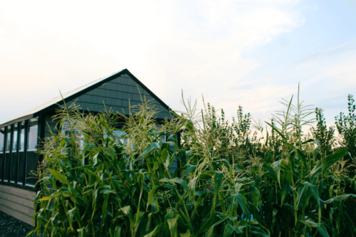 Choosing crops suited for the climate