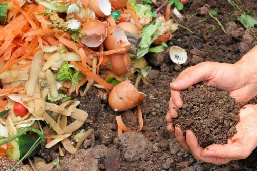 Composting and organic soil management