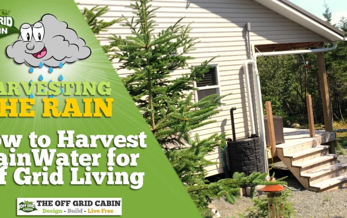 How to Harvest RainWater for Off Grid Living Featured Image