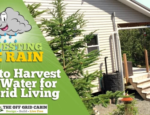 How to Harvest RainWater for Off Grid Living: A Step-by-Step Guide