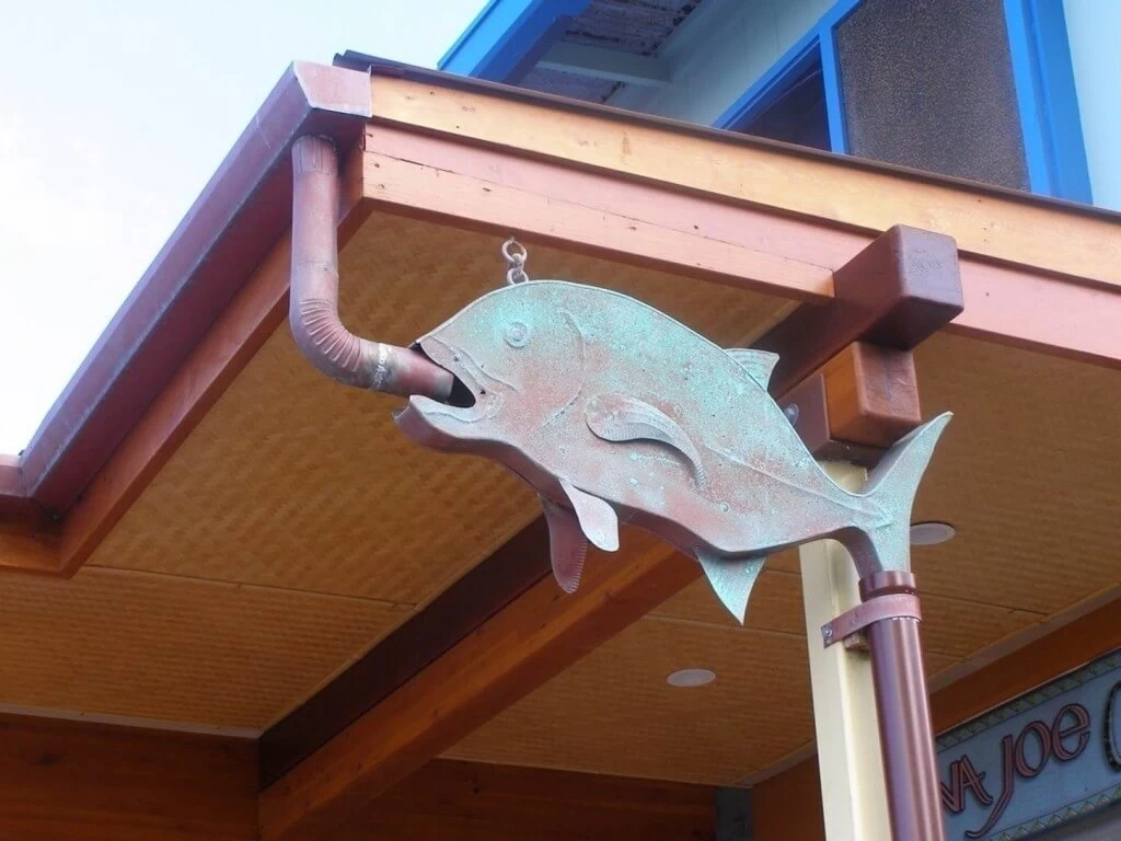 water harvest fish