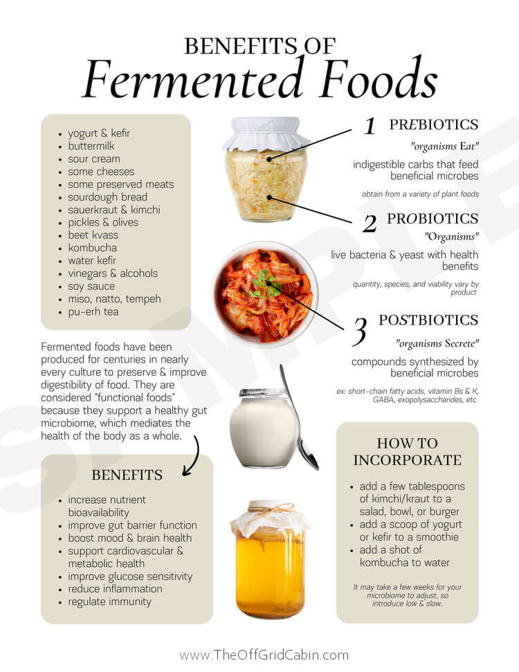 Benefits of Fermented Foods The Off Grid Cabin