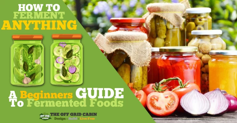 How to Ferment Anything The Off Grid Cabin Featured