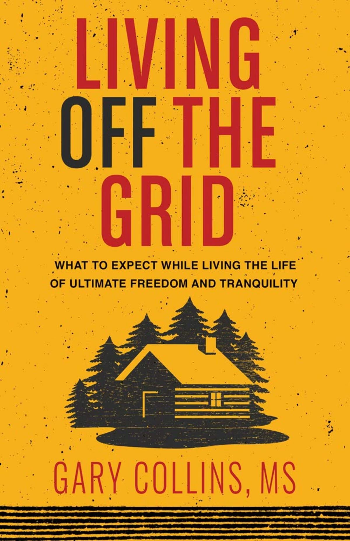 Living Off the Grid What to Expect While Living the Life of Ultimate Freedom and Tranquility book cover