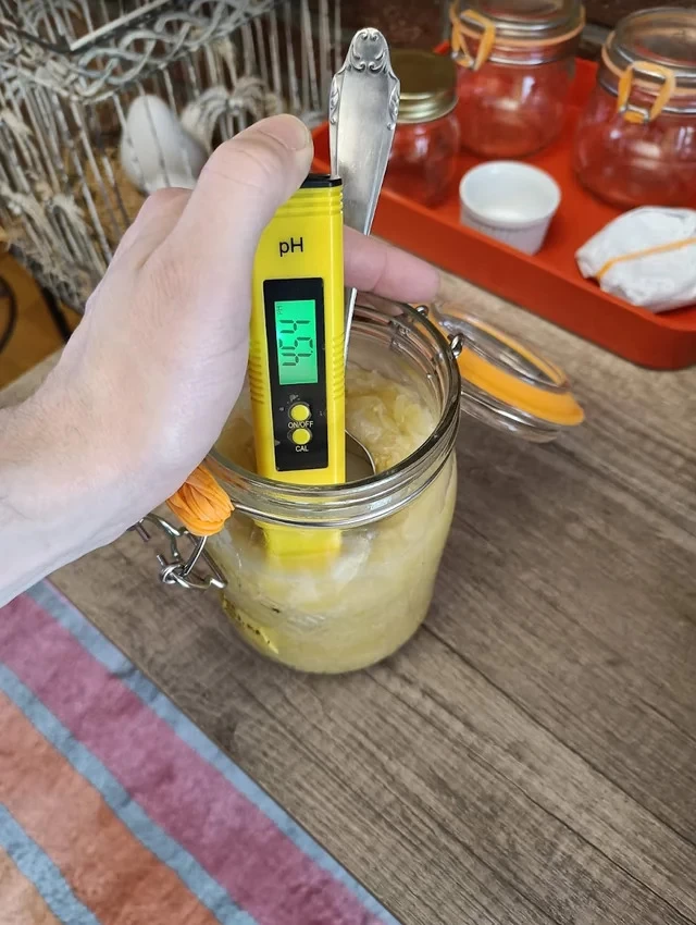 PH Testing for ferment