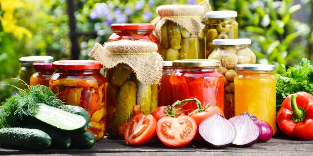 foods you can ferment 