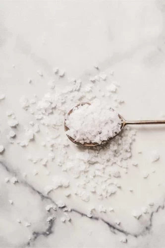 fermenting salt