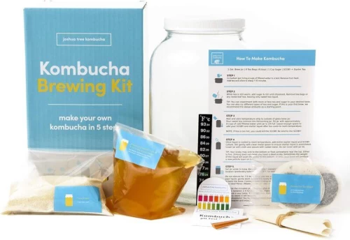 Joshua Tree Kombucha Complete Starter Kit