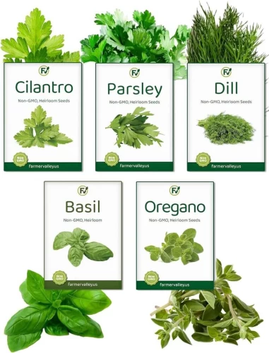Most Popular Herb Seeds Variety Pack