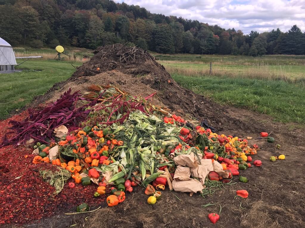 Off Grid Living Composting Food
