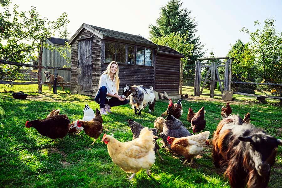 A happy smiling woman feeding her chickens and tiny pony on her homestead