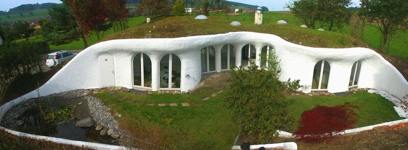 Earthship roof with grass and vegitation