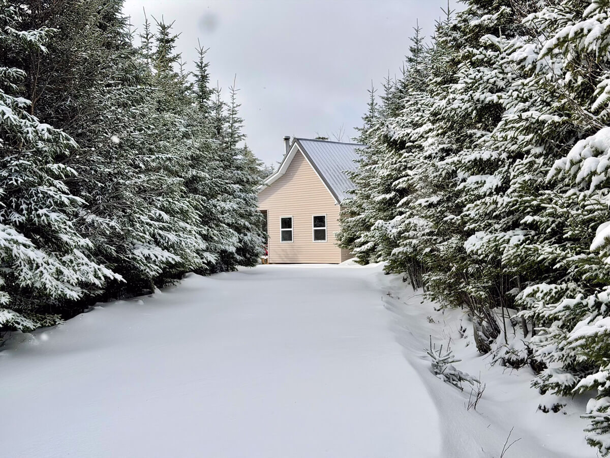 The Off Grid Cabin Fresh Snow 2026